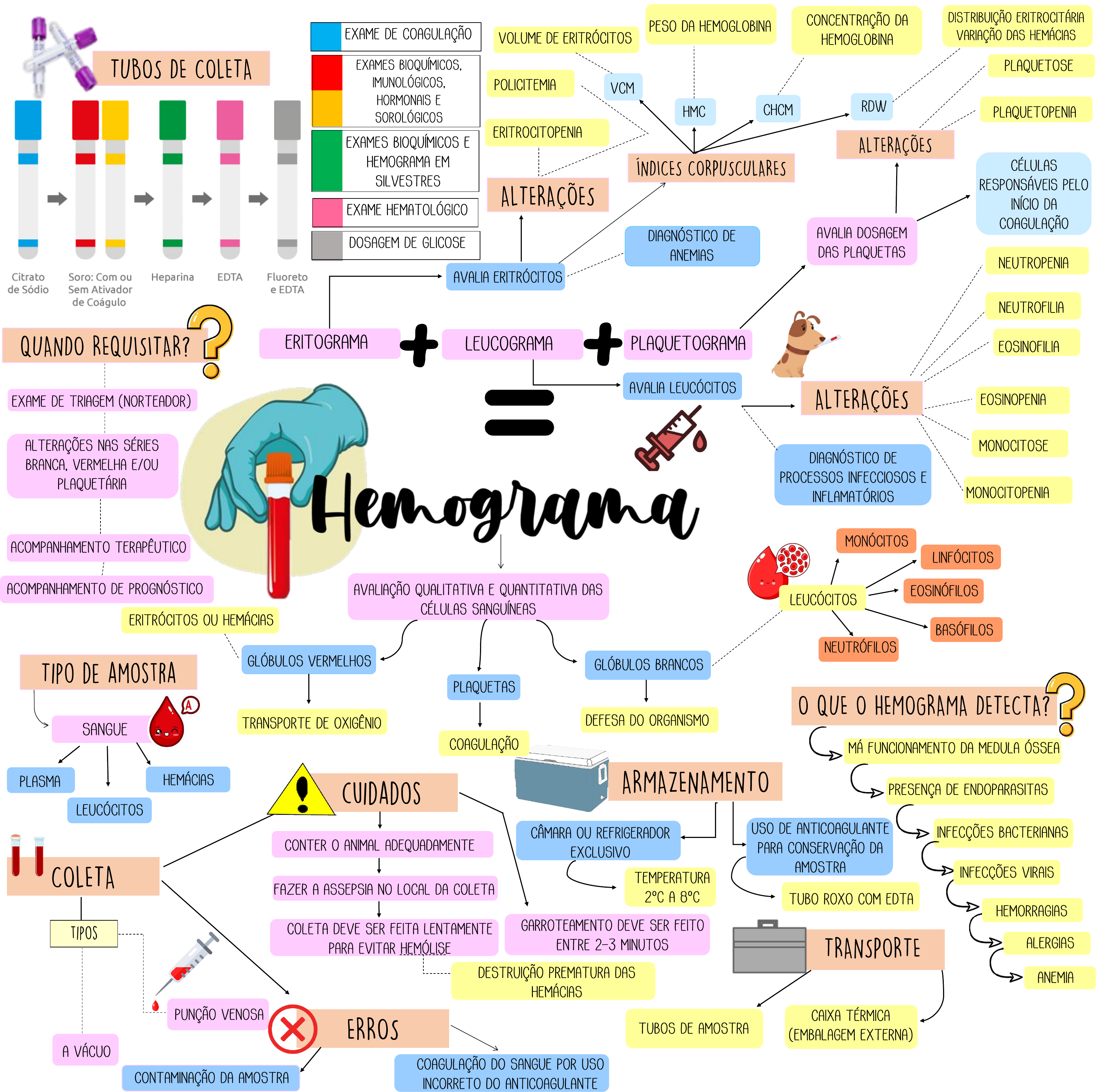 Mapa Mental Hemograma - Hematologia