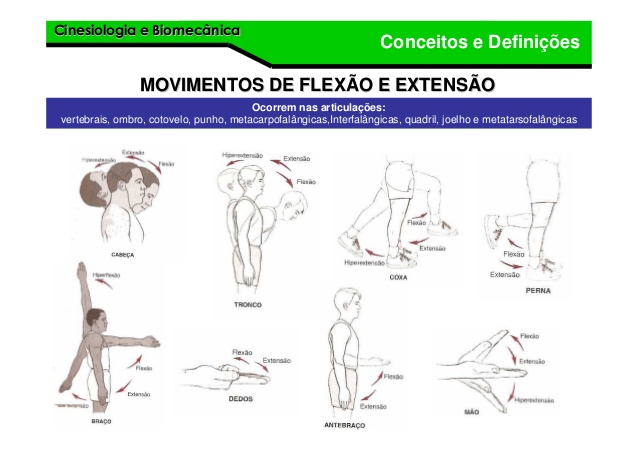 Cinesiologia Conceitos Edefinicoes 11 638 Biomecânica 5356