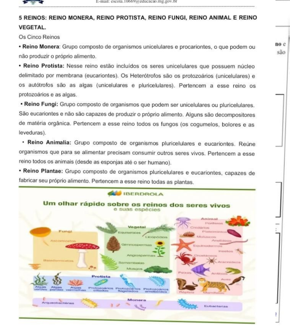Grátis: 7 ano 2024 - Material Claro e Objetivo em PDF para Estudo Rápido