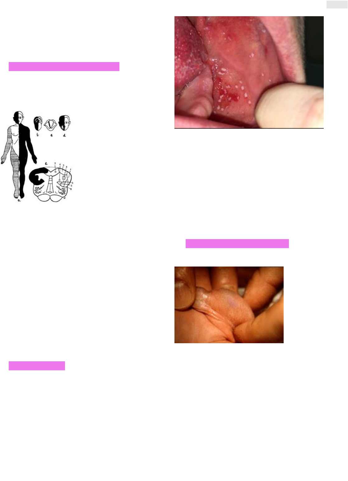 Sociedade Brasileira de Genética Médica e Genômica - Ligas de Genética  Médica é o tema da nossa próxima #live O convidado, Luan Bittencourt, fará  um bate papo com a Dra. Angelina Acosta,, image size:1119x1543