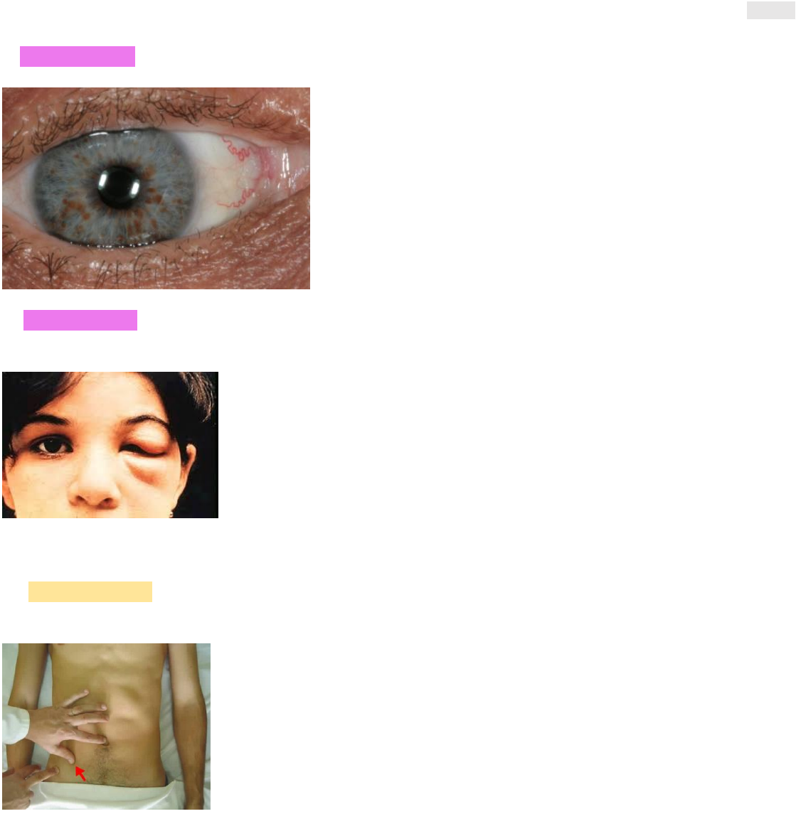 Grátis: Cabeça I - Material Claro e Objetivo em PDF para Estudo Rápido, image size:1119x1169