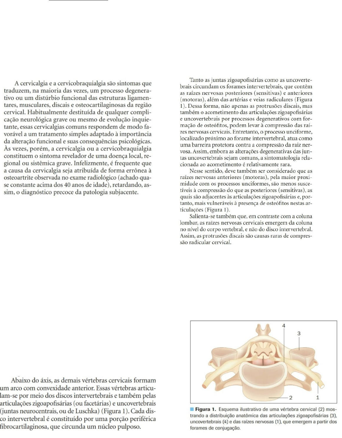 Grátis: CERVICALGIA-apg 1 - Material Claro e Objetivo em PDF para Estudo  Rápido