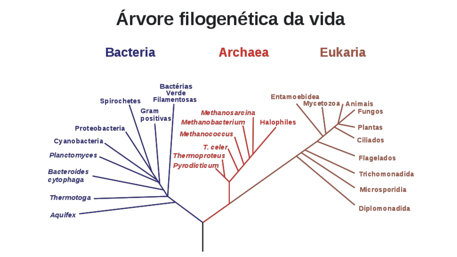Free: REINO MONERA - Clear and Objective PDF Material for Quick Study |  Passei Direto