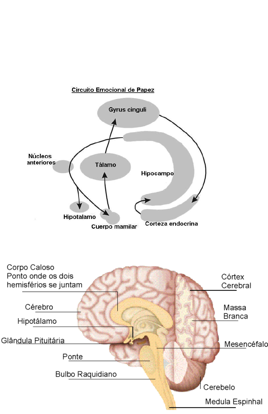 Manu Medina -TEATRO INCLUSIVO- Teatro BRUT: Los tres cerebros, por Manu  Medina, image size:886x1367