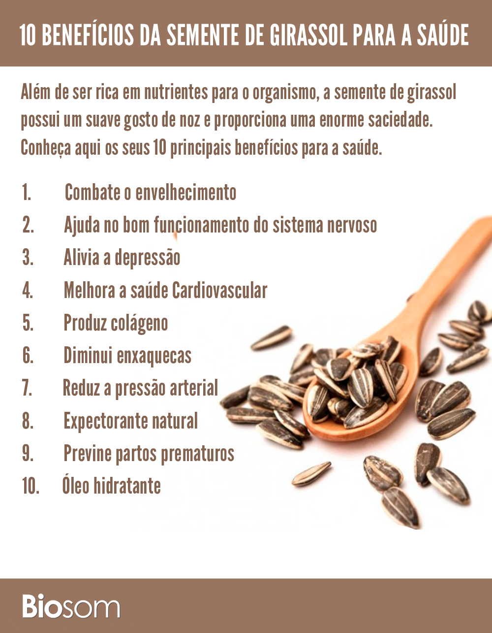 Os 10 beneficos da semente de girassol - Nutricoah