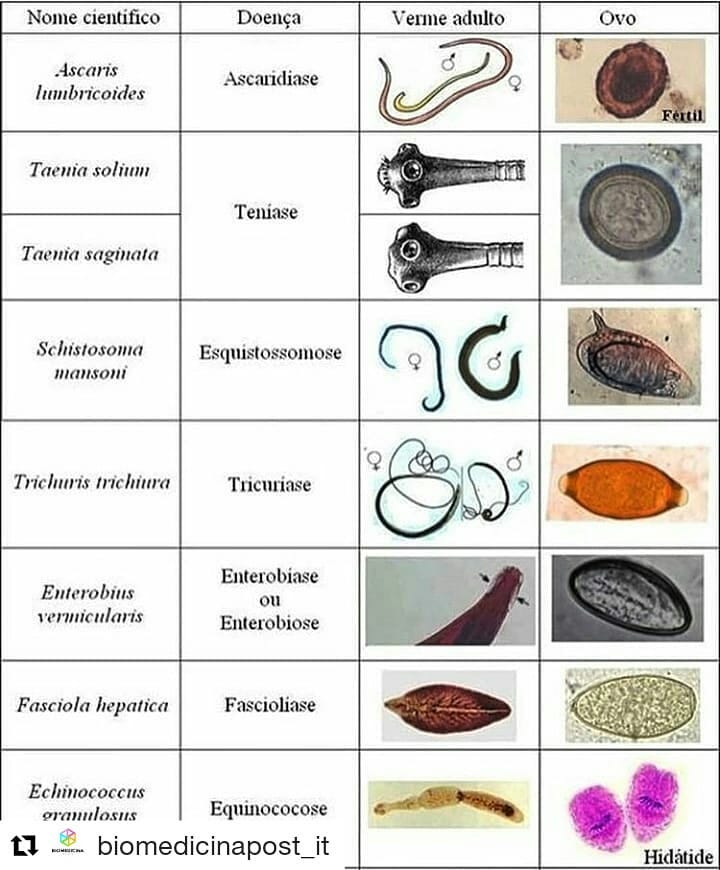 Atlas Urina E Parasitologia Microbiologia