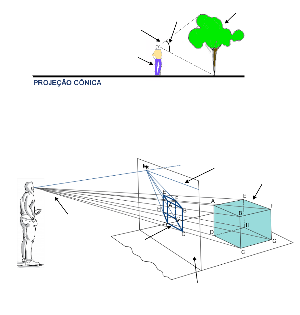 Portal del Profesor - Desenho – Projeções Cônicas