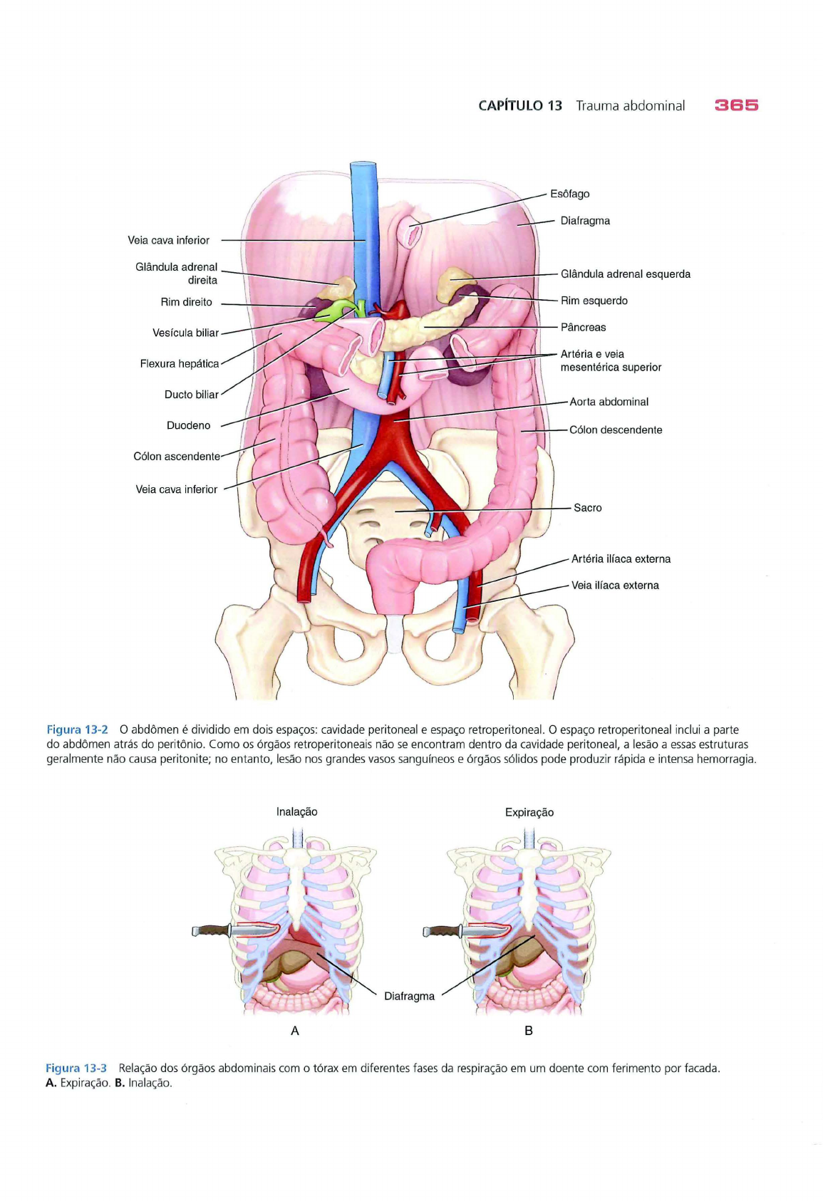 Phtls 8 Ed trauma abdominal - Urgência e Emergência