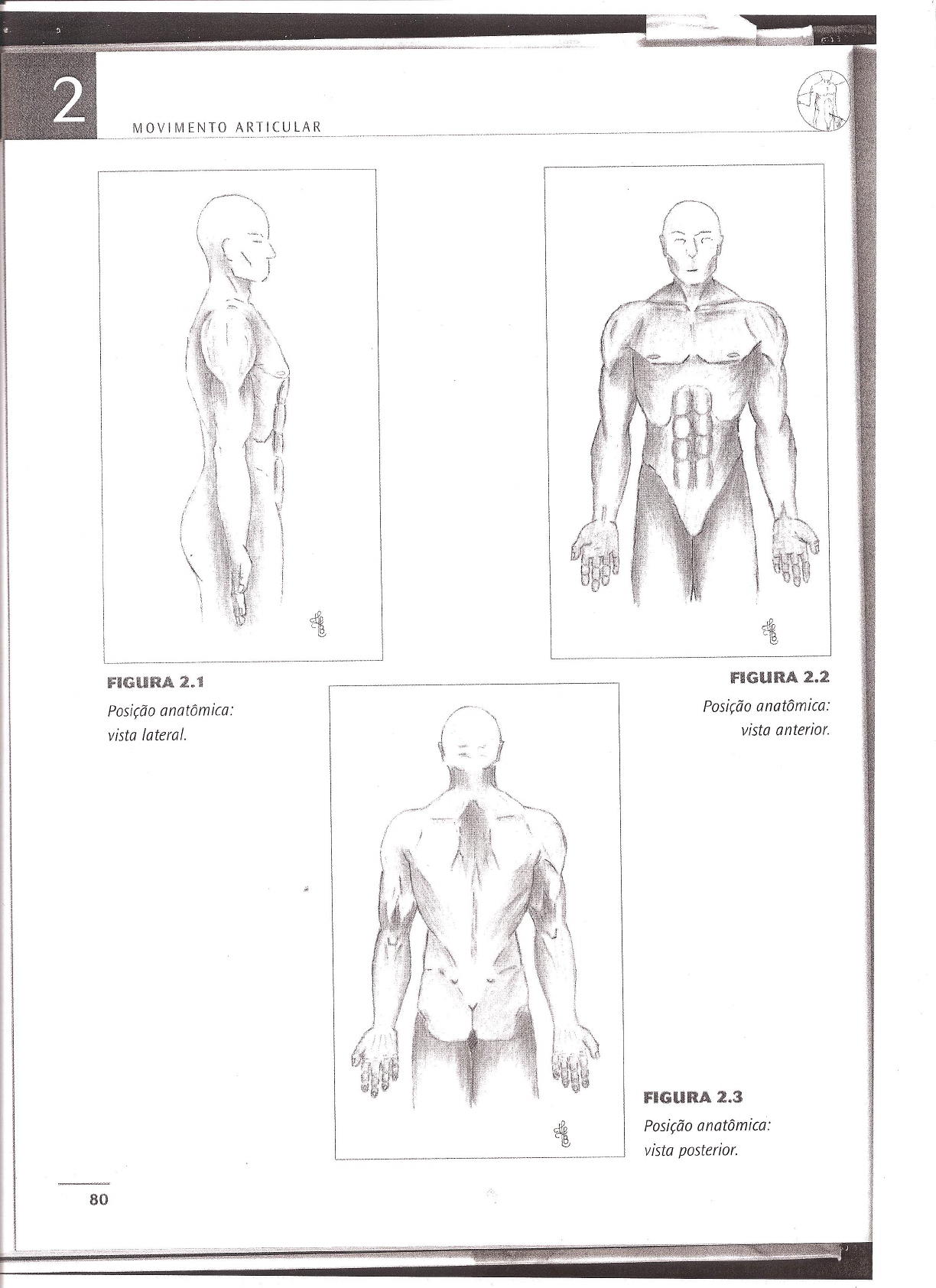 Defina Eixos Corporais A Partir De Um Desenho