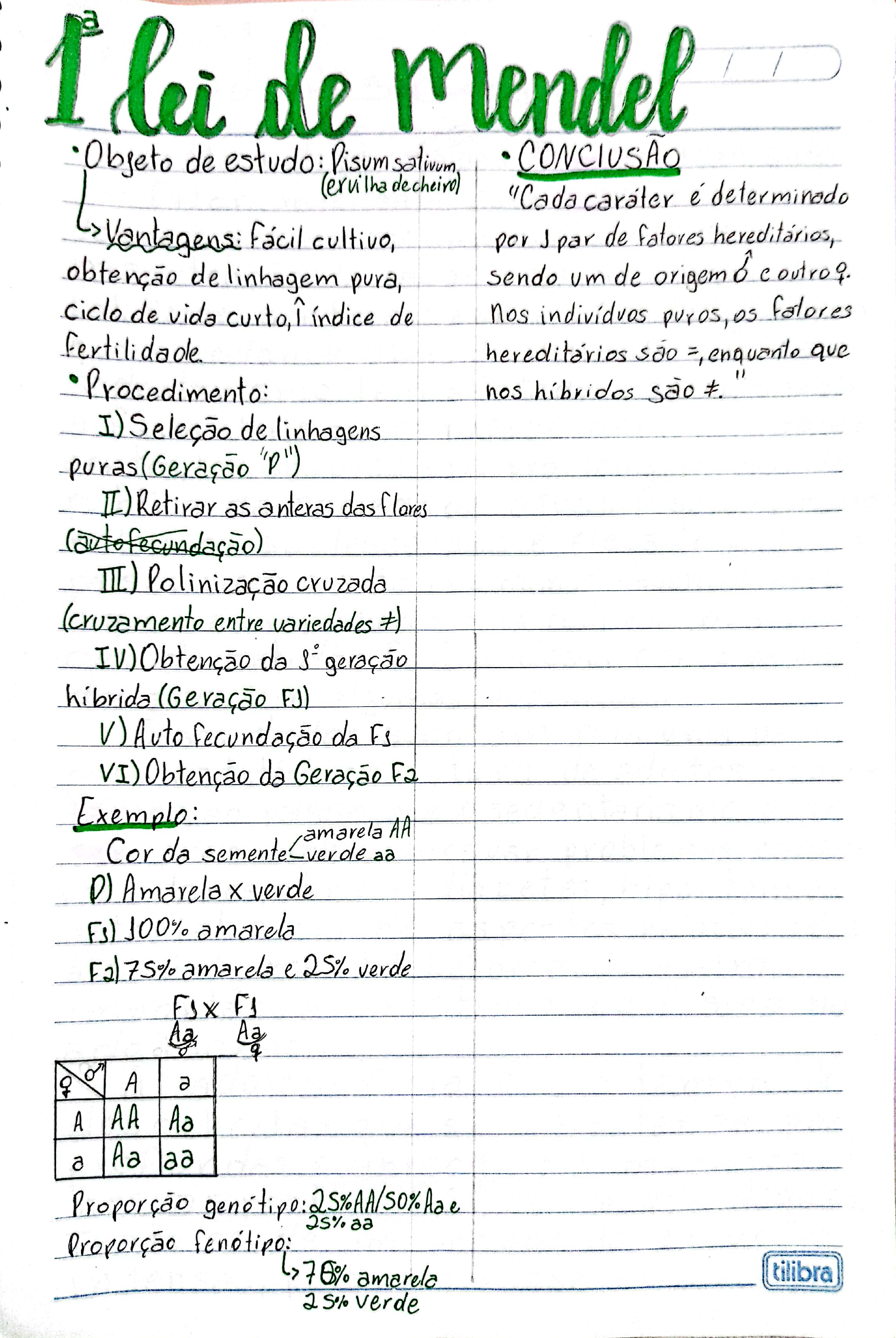 Resumo De Biologia 1 Lei De Mendel Biologia