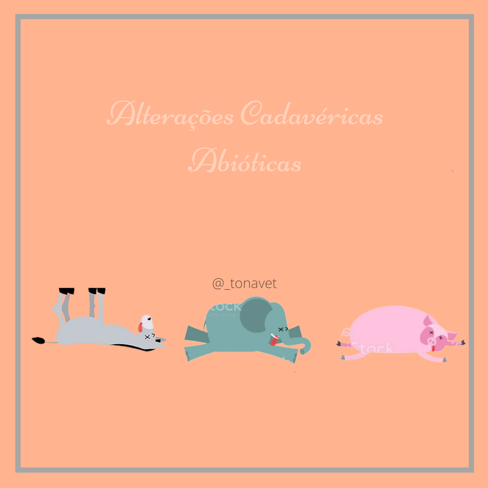 Grátis: Fisiologia anmal II - Material Claro e Objetivo em PDF para Estudo  Rápido, image size:1620x1620