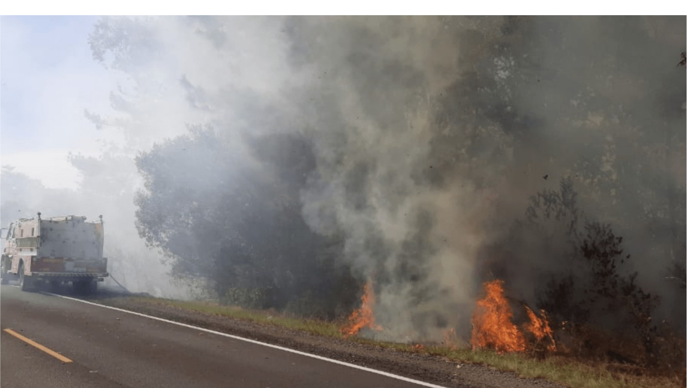 Fumaça de incêndios florestais nos EUA é mais tóxica do que se pensava