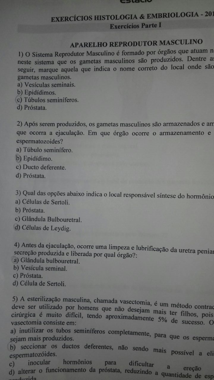 Exerc Cios Resolvidos Histologia E Embriologia