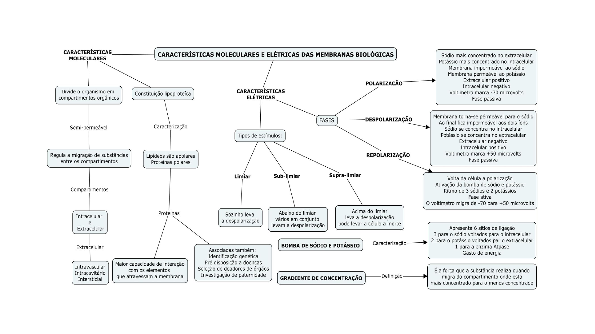 Mapa Conceitual Caracteristicas Das Membranas Biologicas Fisiologia