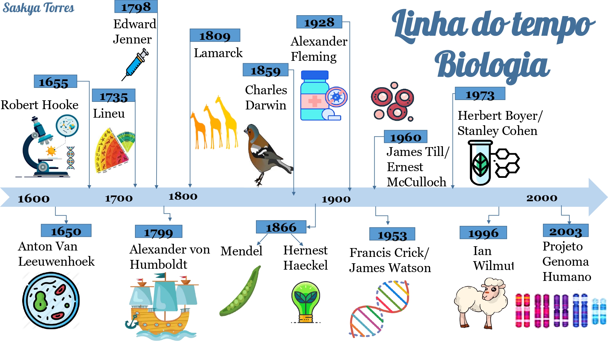Linha Do Tempo Da Biologia História Da Biologia