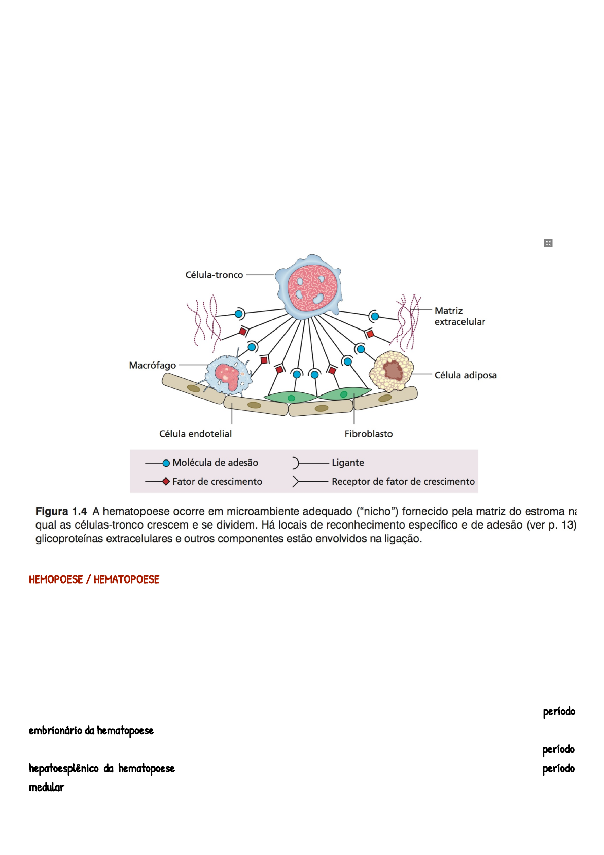 Pancitopenias - Tutoria P6 M2 Pr3 foto