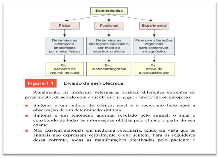 Aula 02 - O Método Clínico - Propedêutica e Semiologia