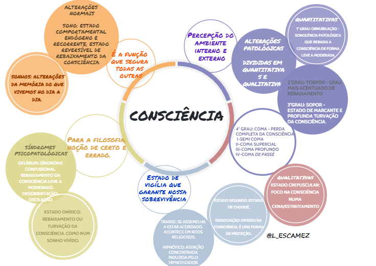 MAPA MENTAL CONSCIENCIA - Psicopatologia