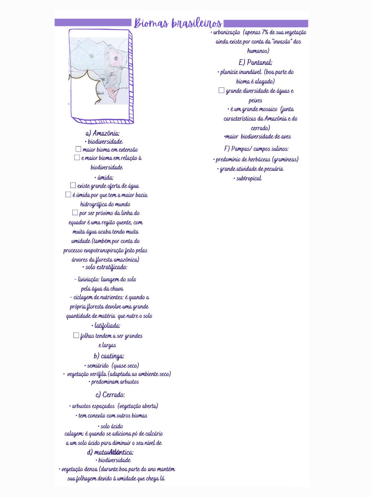 Resumo De Biomas Brasileiros Geografia