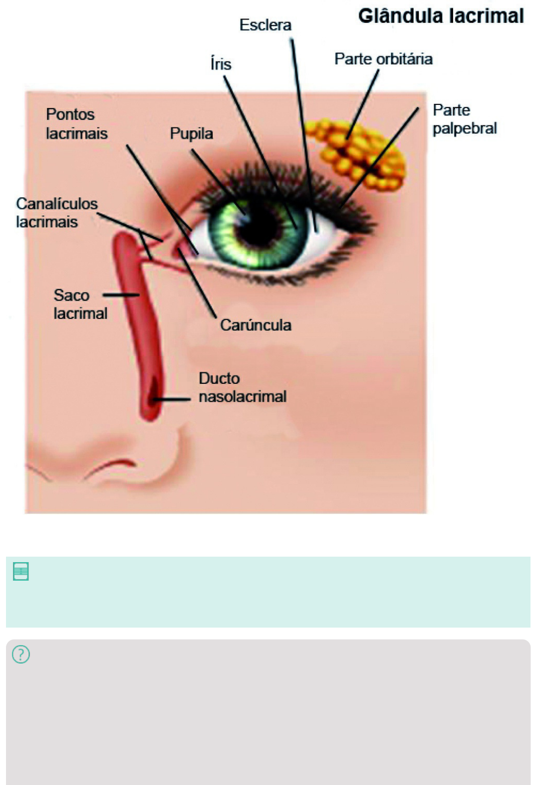 mulher do olho sistêmico sendo tratada da doença do hordéolo