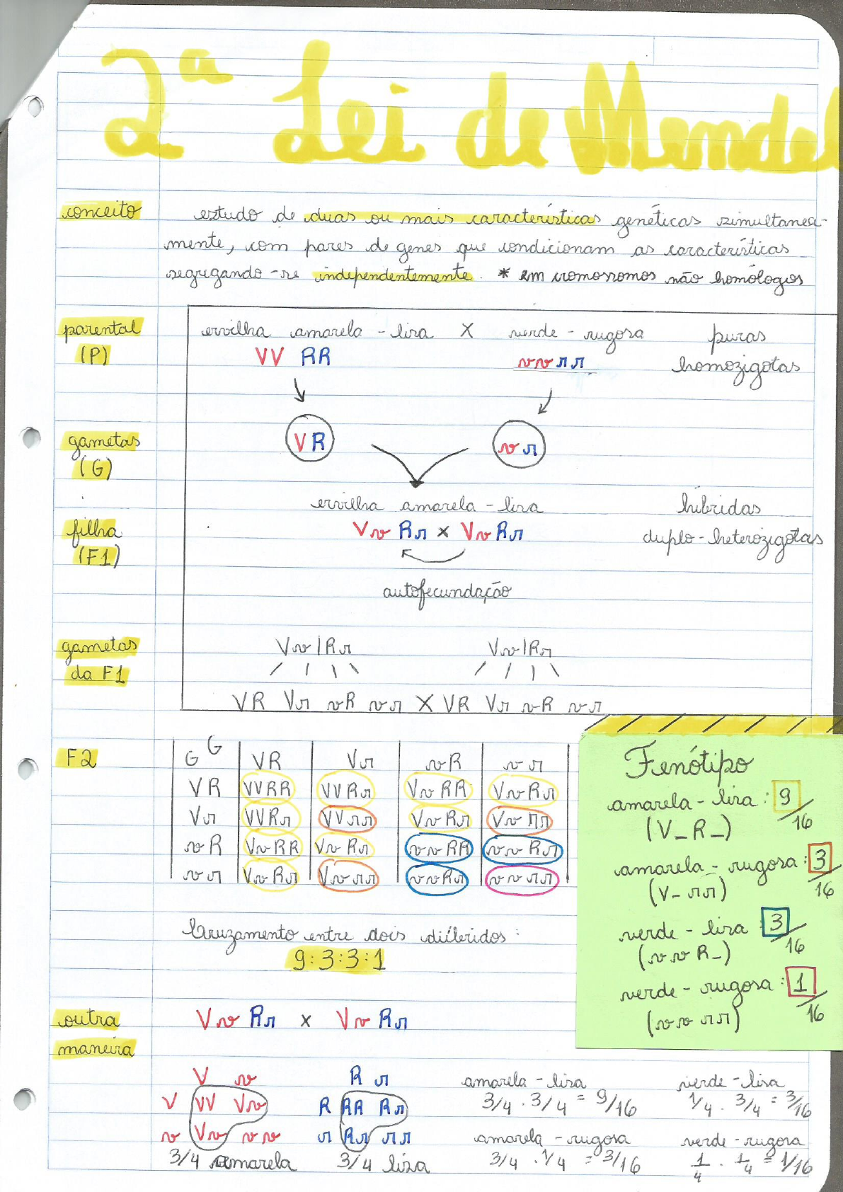 Resumo Segunda Lei De Mendel Gen Tica Biologia