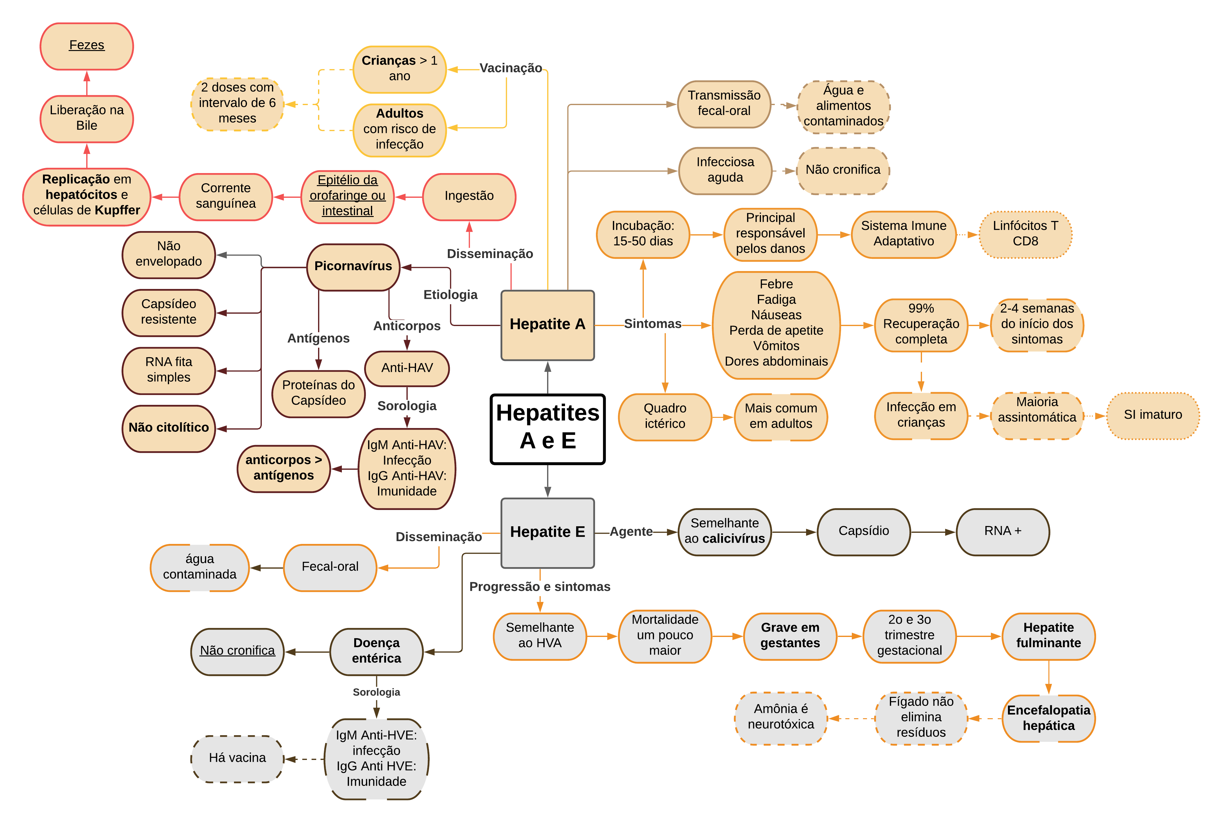 Mapa Mental Hepatites A E E - Microbiologia