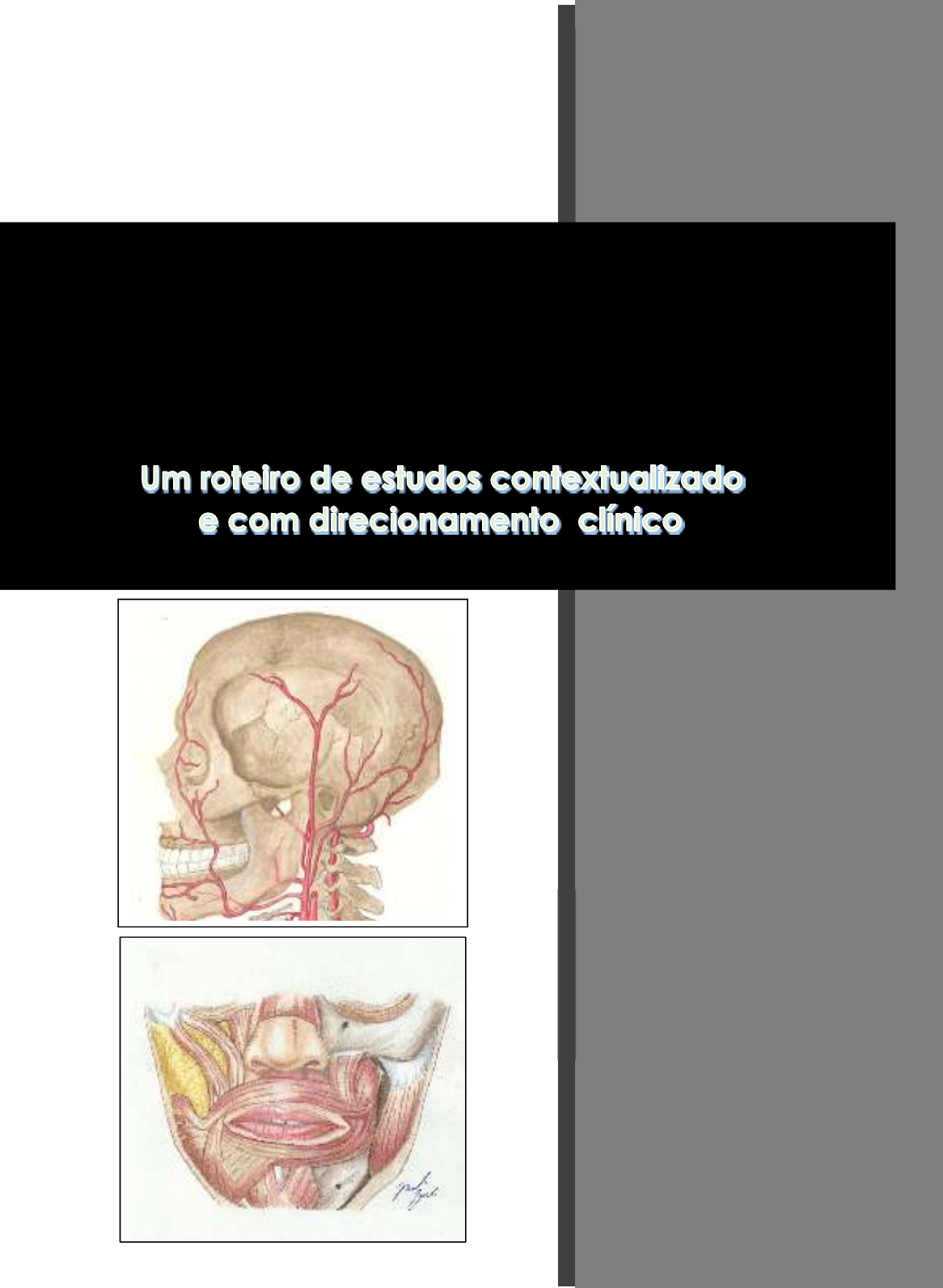 Mastering Cable Rear Delt Flys for Optimal Results, image size:1166x1592