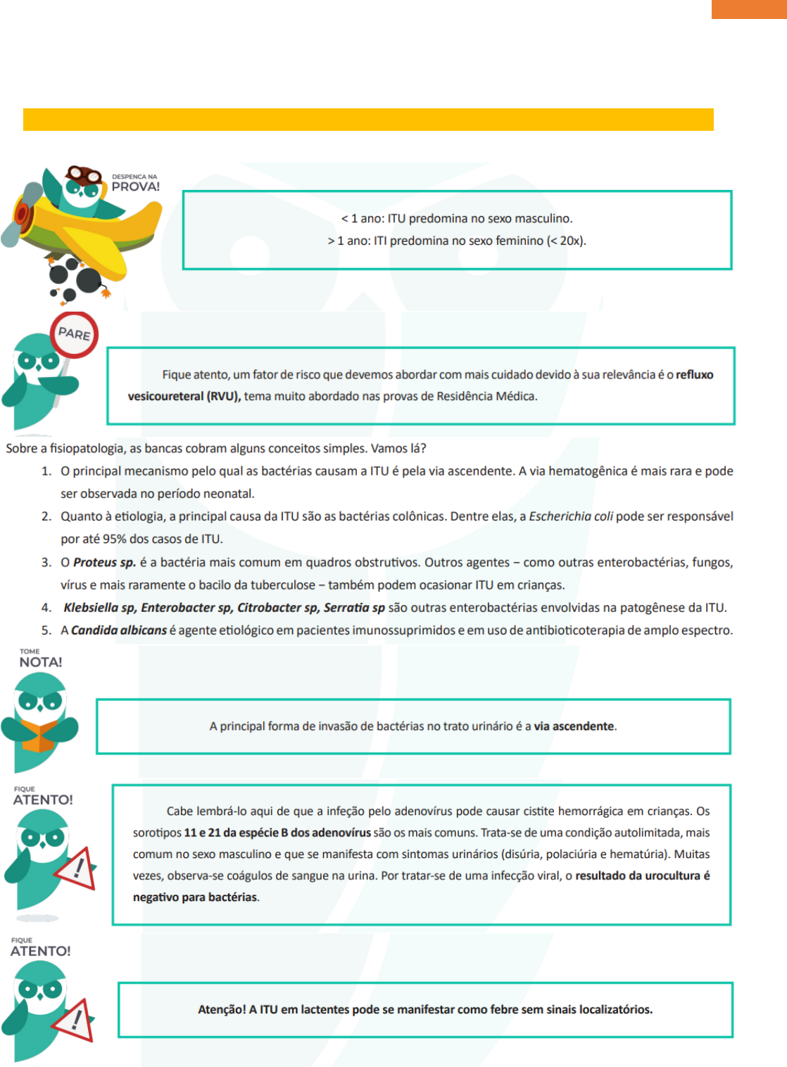 SUPER RESUMO PED - ITU - Medicina