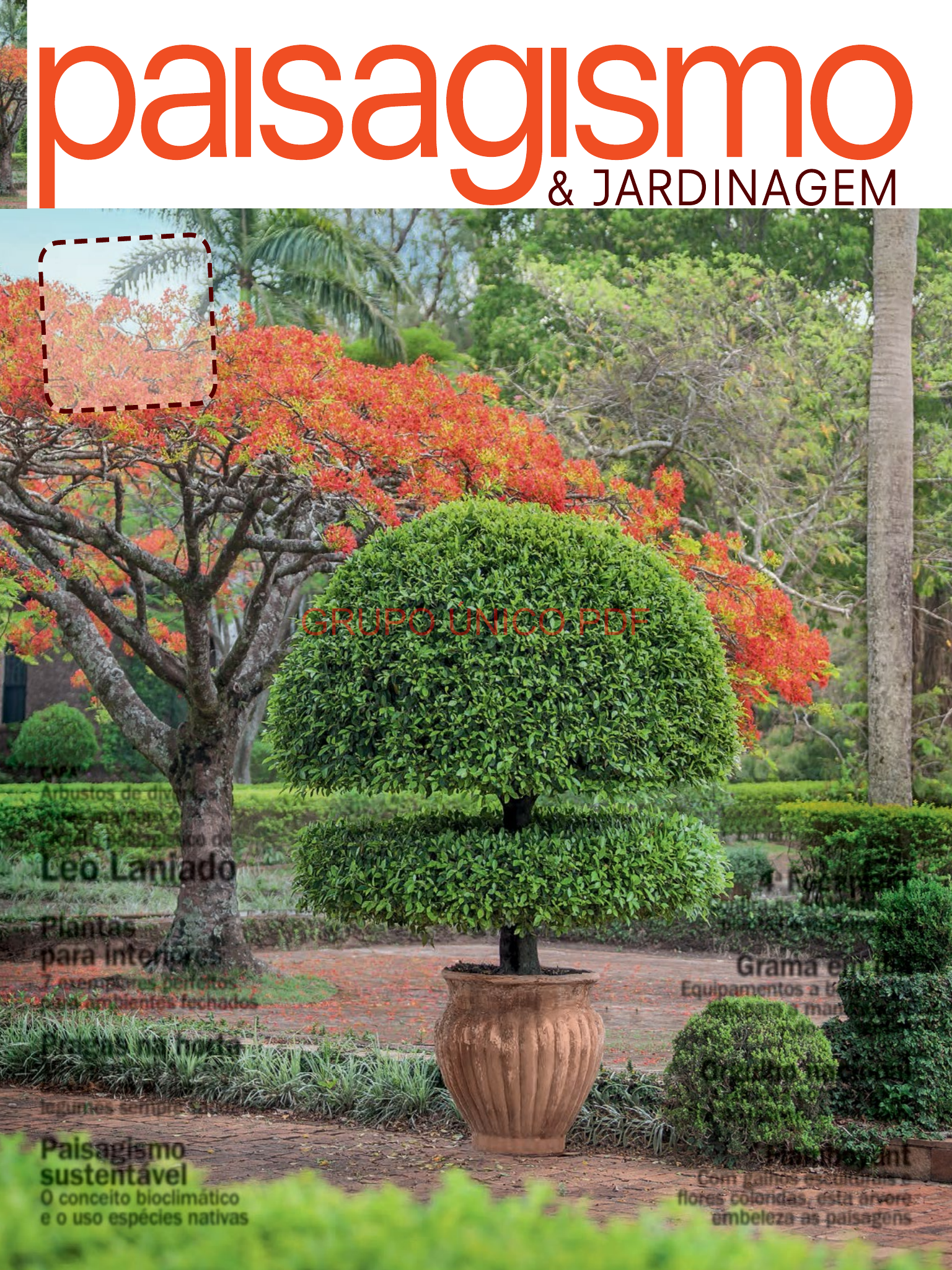 Mémento des plantes de jardins paysagers - hortivar - 9782917308141 - Livre  