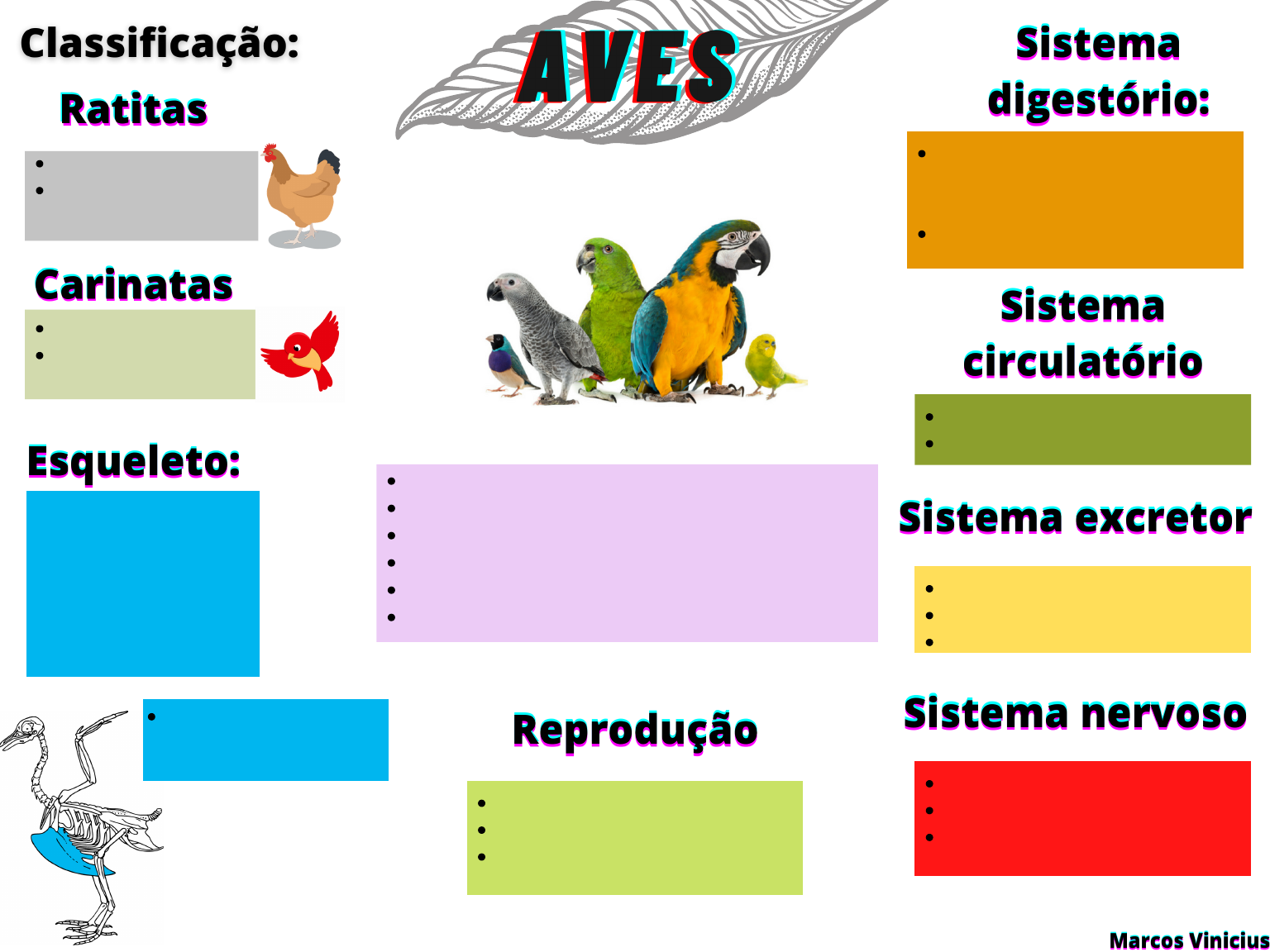 Mapa Mental - Aves - Zoologia dos Vertebrados