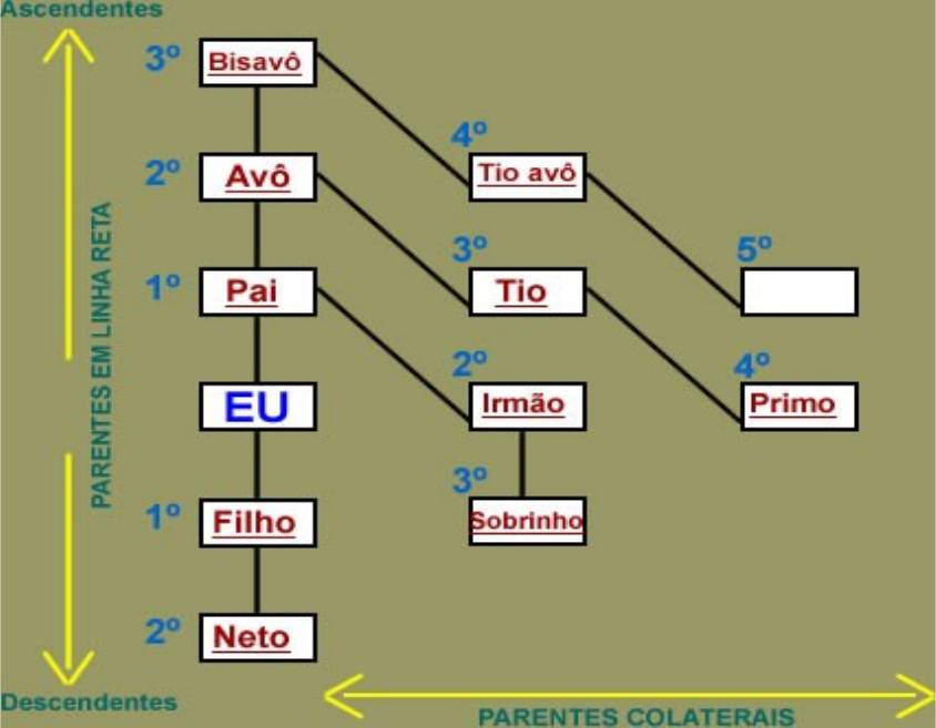 Parentes na linha colateral - Direito de Família e Sucessões