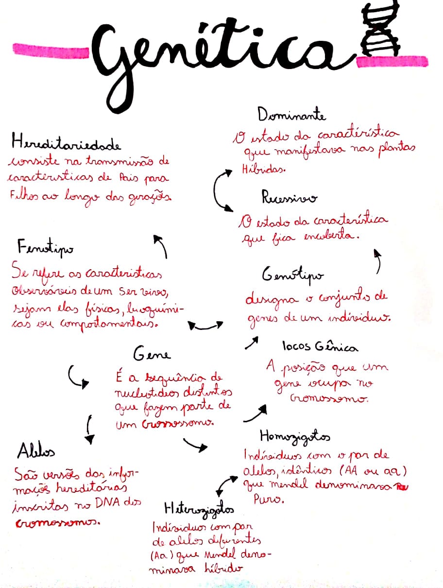 Resumo Genética Biologia 0085