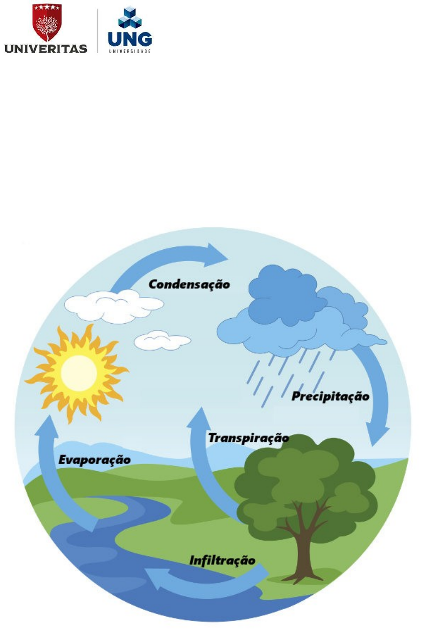 RIO LIMPO X RIO POLUÍDO – EXPERIÊNCIA INCRÍVEL PARA CRIANÇAS! - Professora  Carolina Palhas, image size:854x1275