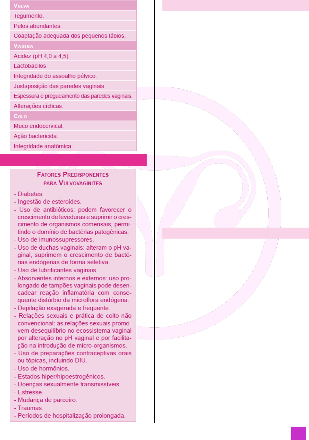 Tratamento de supositórios de vaginite. inflamação da vagina. Infográficos.  ilustração vetorial em fundo isolado imagem vetorial de mikrostoker©  136049596