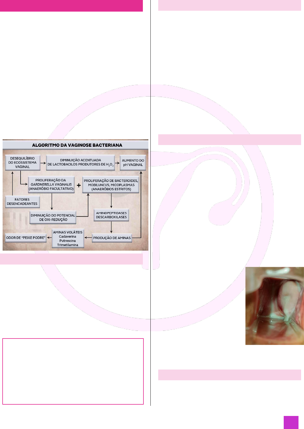 Tratamento de supositórios de vaginite. inflamação da vagina. Infográficos.  ilustração vetorial em fundo isolado imagem vetorial de mikrostoker©  136049596