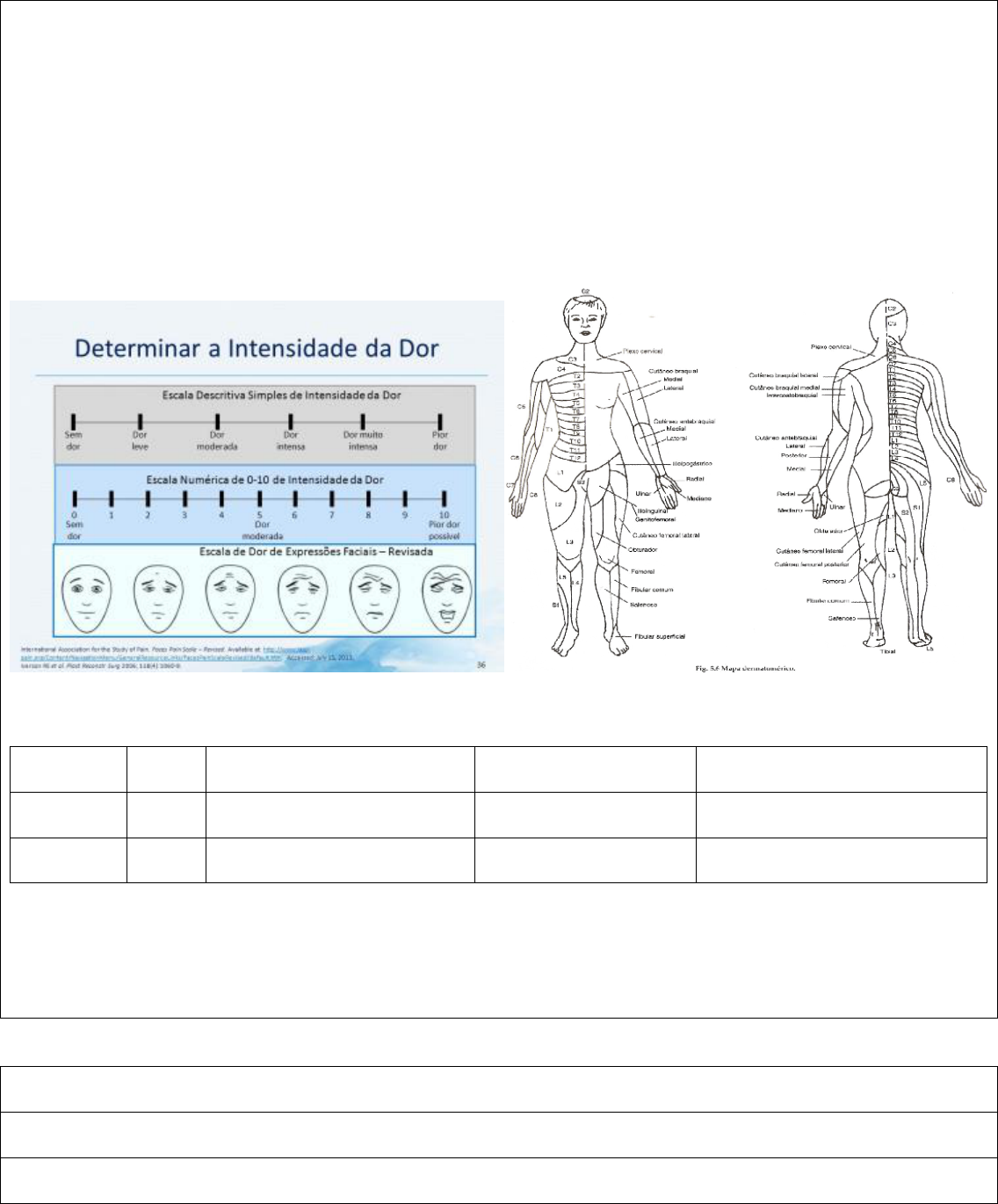 Ficha De Avaliacao Fisioterapia - Clickandgo