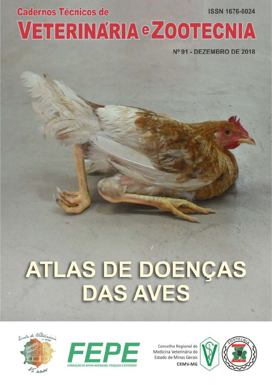 Patologia Veterinária: Ooforite em aves