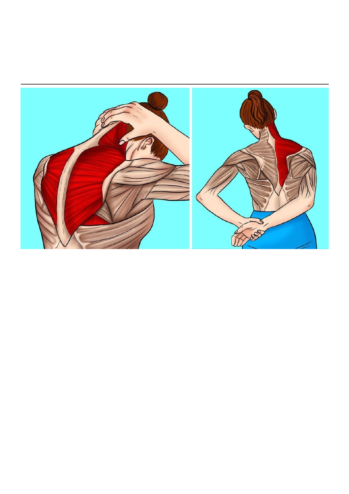 Alongamento Do Musculo Trapezio 7 Melhores Alongamentos Para O