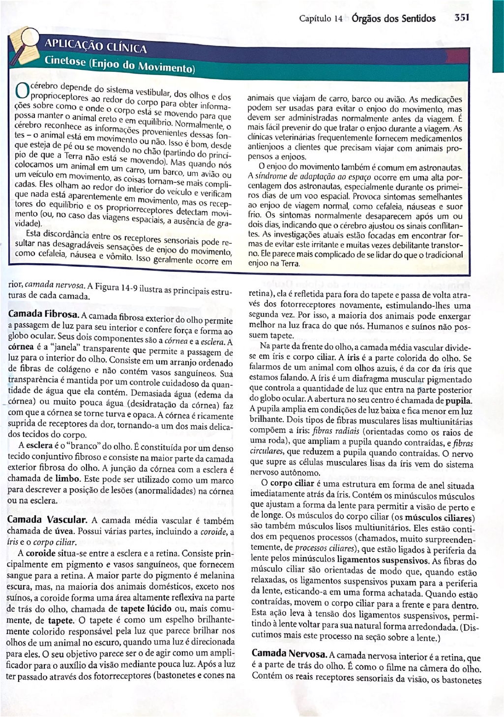 Fisiologia E Anatomia Dos Olhos Clinica Medica Veterinaria