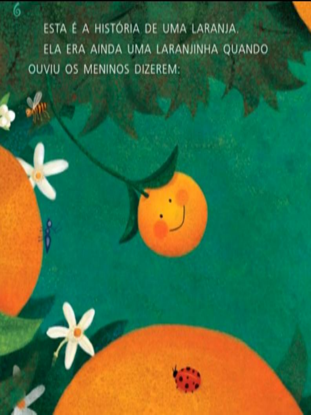 A Laranja Colorida Pedagogia