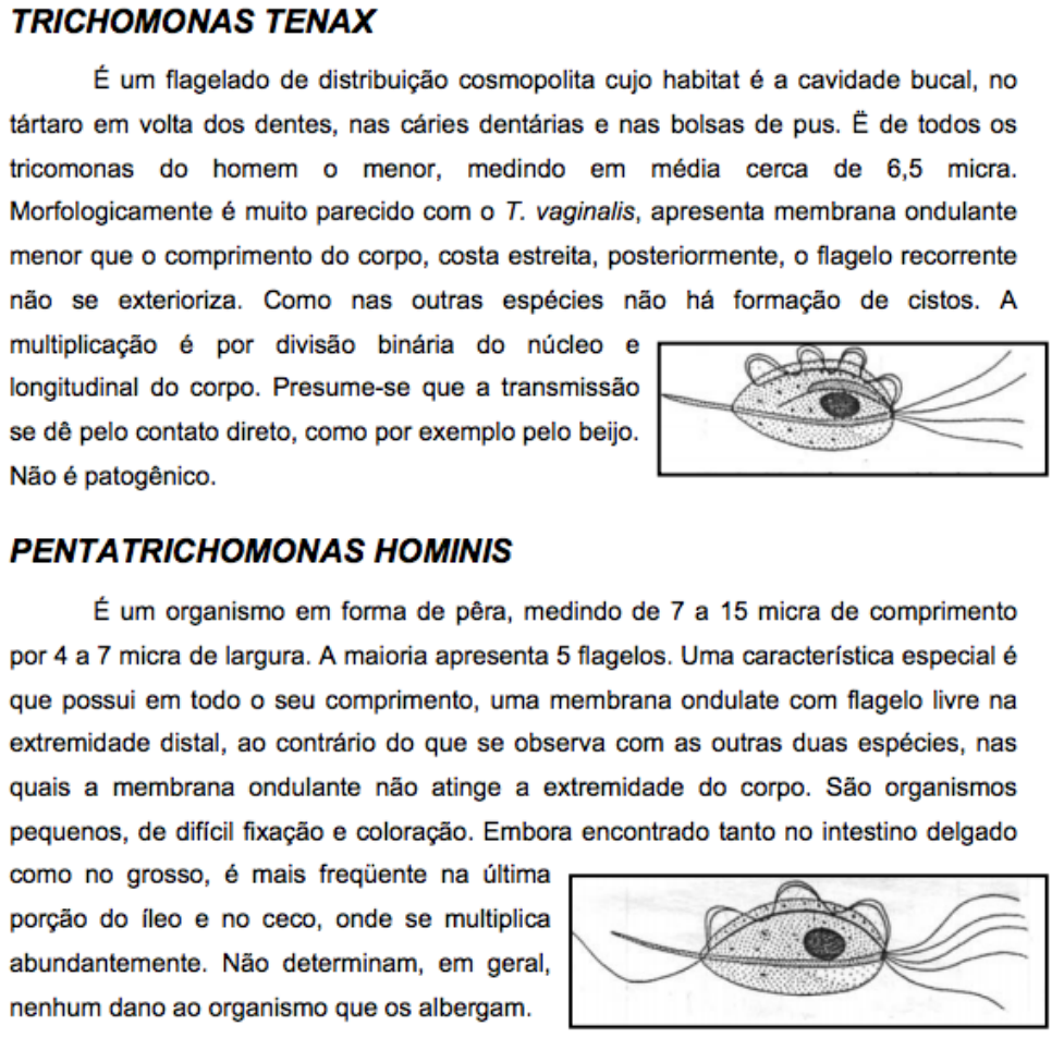 a-d. protoginia-a. tricomas rígidos no interior do tubo; b. ginostêmio