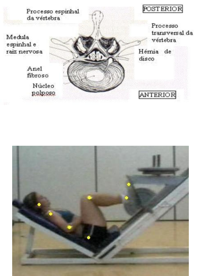 O levantamento terra é um exercício multiarticular que trabalha mais  músculos em conjunto de regiões como lombar, pernas, trapézio e glúteos.  Além de ser, By Max Titanium Suplementos