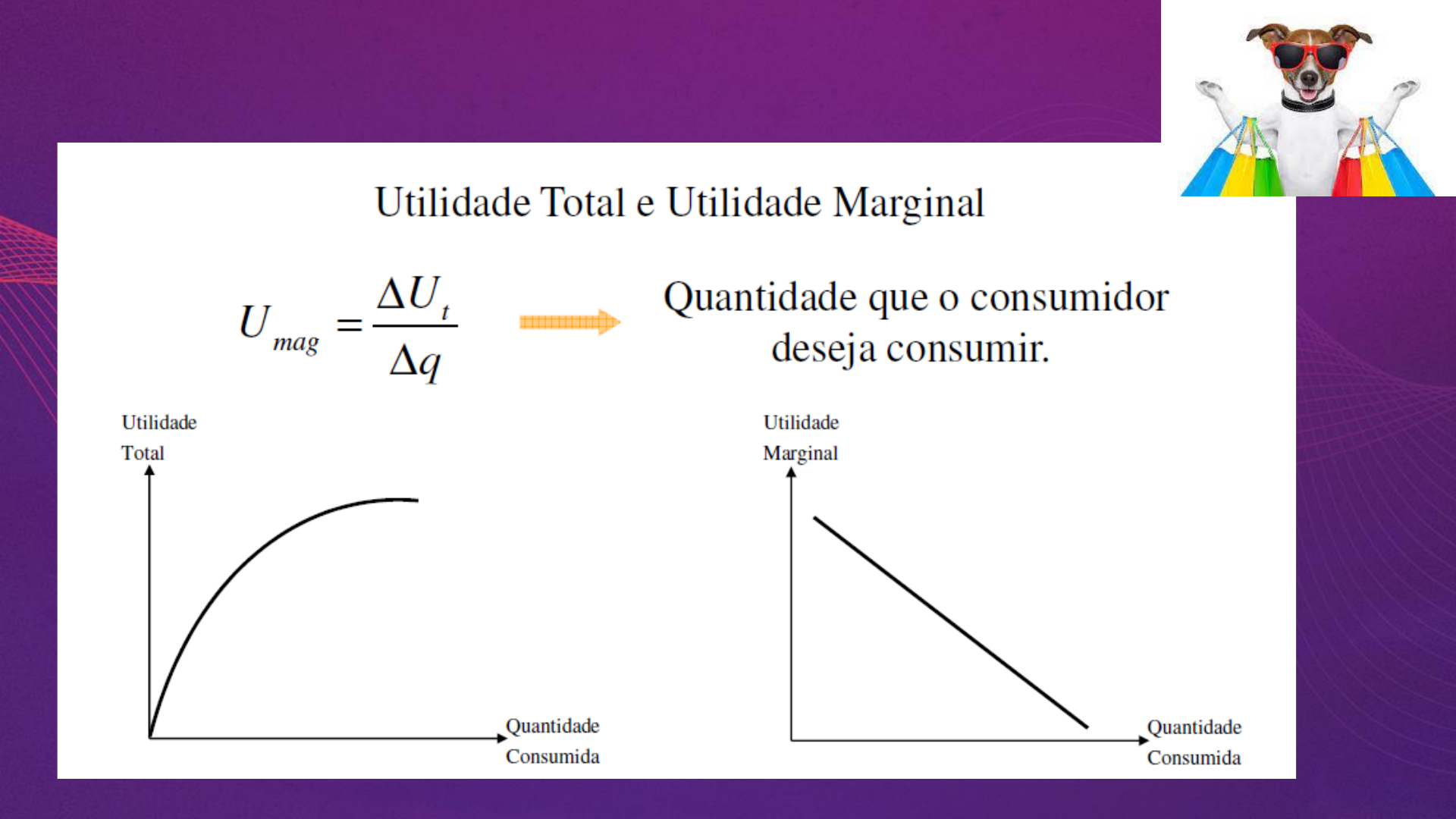 Grátis: Curvas de Indiferença e Restrição Orçamentária - Material Claro e  Objetivo em PDF para Estudo Rápido, image size:1920x1080