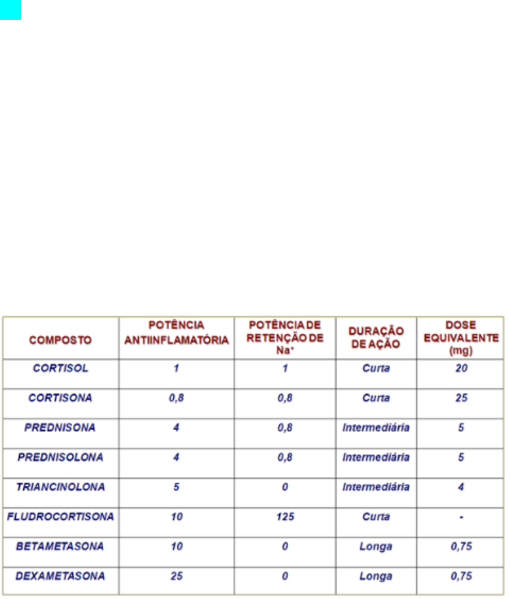 SOLUTION: Corticoesteroides farmacologia - Studypool