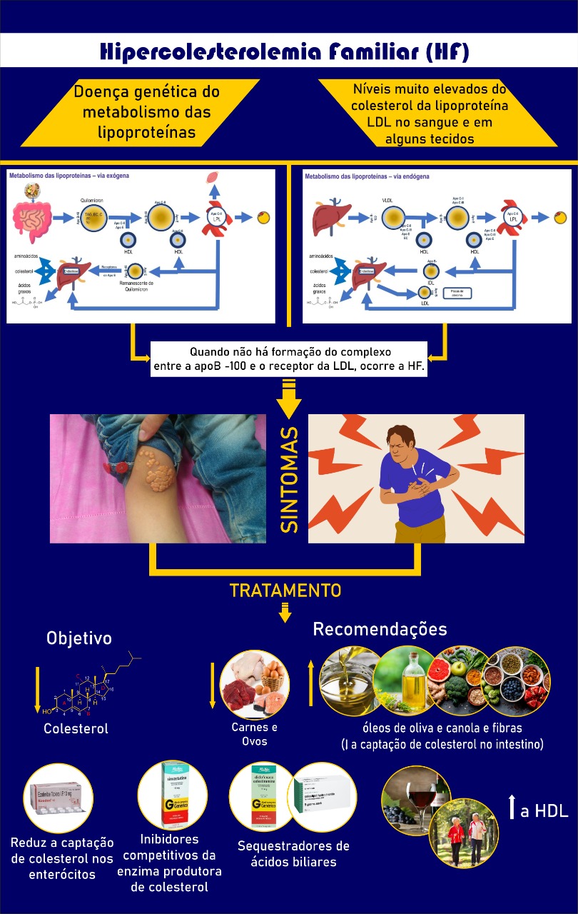Hipercolesterolemia Familiar - Blog Mendelics