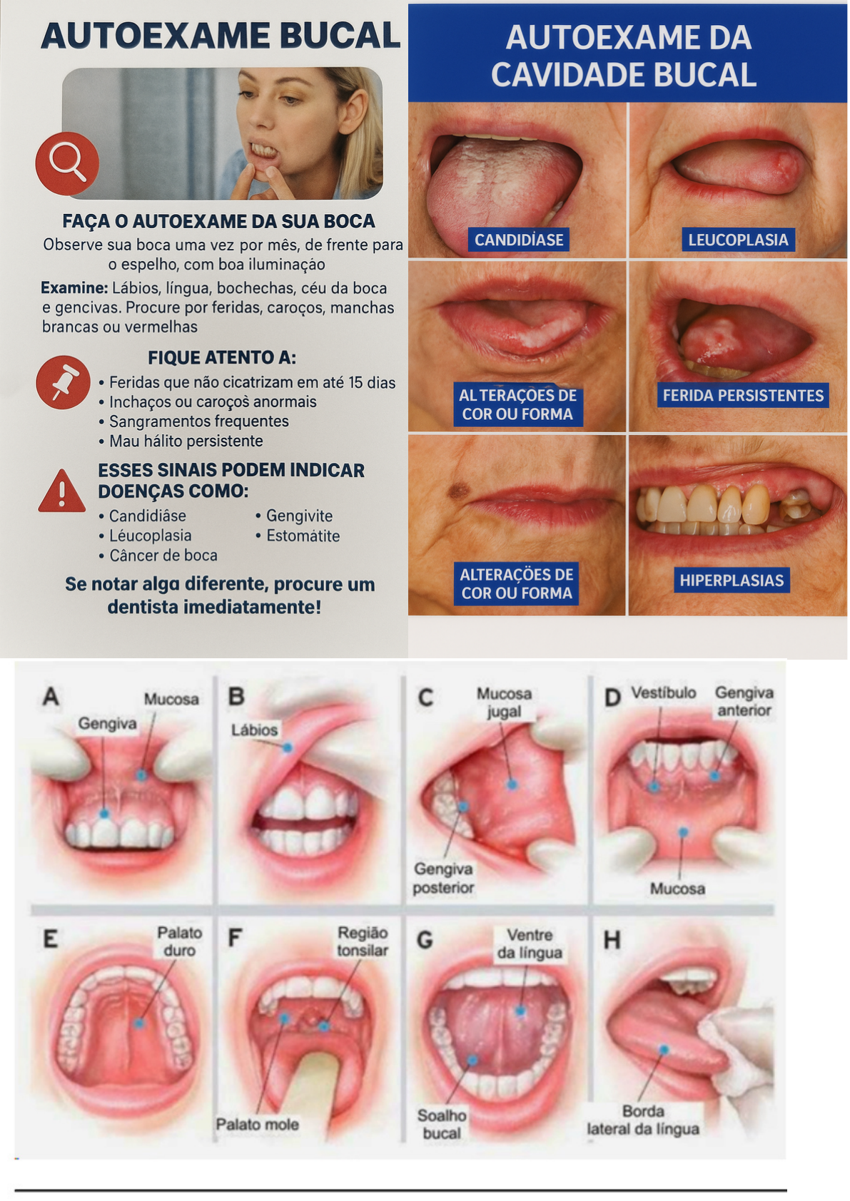 Prova Perio | PDF | Boca | Língua, image size:1191x1684