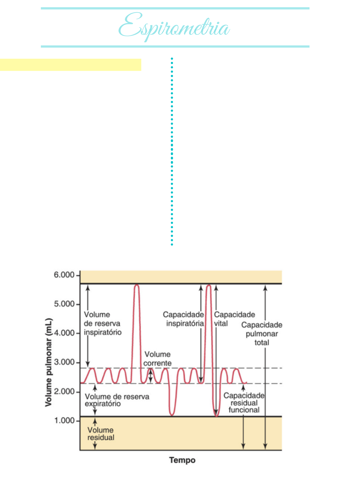 gráfico de capacidade vital