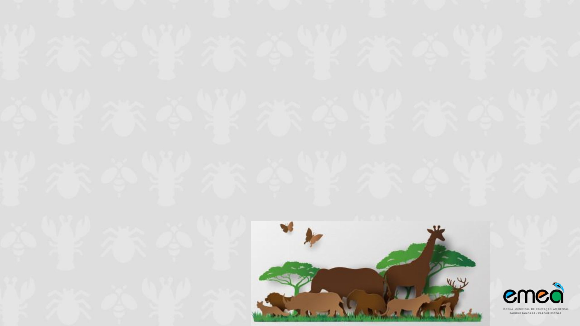 Tem animais por toda parte! 😮🐶 Que tal se divertir em família com os pets  de #AdoptMe no #McLancheFeliz ?, image size:1920x1080