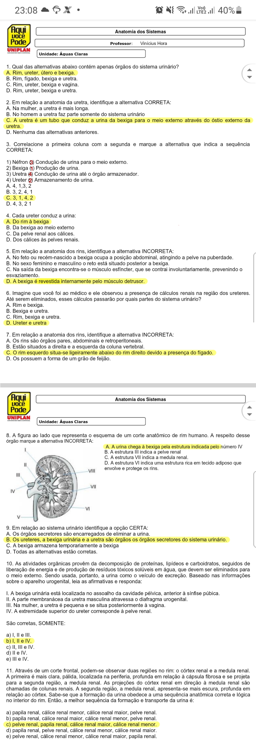 Anatomia Do Sistema - Anatomia Sistêmica