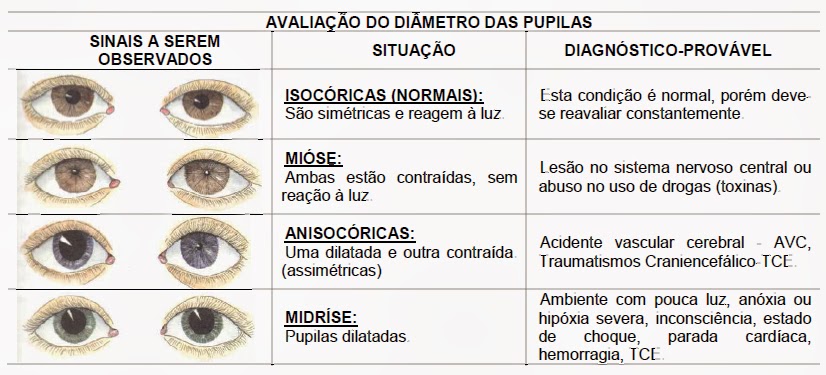 Avalia o Das Pupilas Sistematiza o